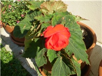 4b9633d2-Picture 152.jpg